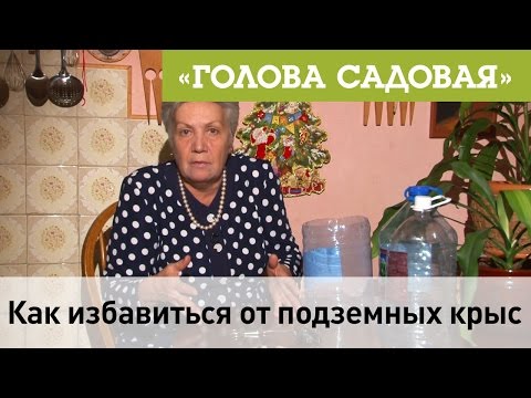 Видео: Голова садовая - Как избавиться от подземных крыс