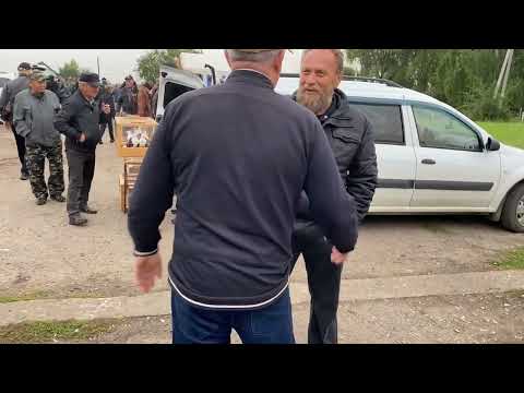 Видео: Ярмарка голубей 6 сентября 2025 с.Крестниково