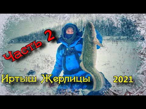 Видео: Рыбалка на Иртыше зимой Жерлицы Часть 2