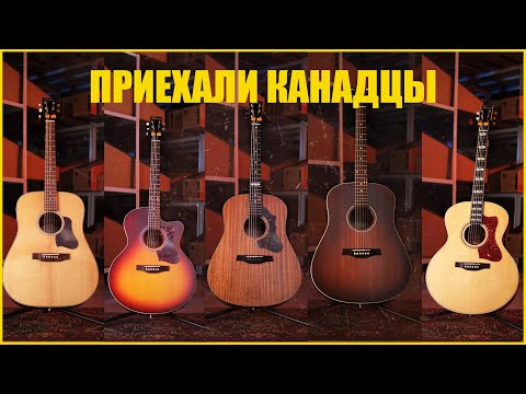 Видео: Первое впечатление Guitar Lavka! Гитары из Канады! Norman, Art & Lutherie, Seagull,  Godin!!!