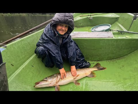 Видео: С сыном поймали ЩУКУ - МОНСТРА 🔥! Обновили личный рекорд 💯 Рыбалка на спиннинг (щука, окунь)!