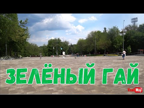 Видео: Зелёный гай / Днепр 2023