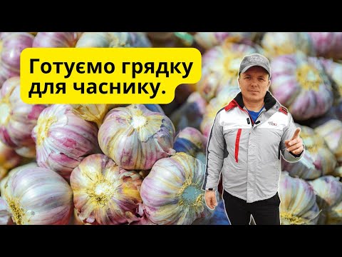 Видео: Готуємо грядку під озимий часник — просто і з користю!