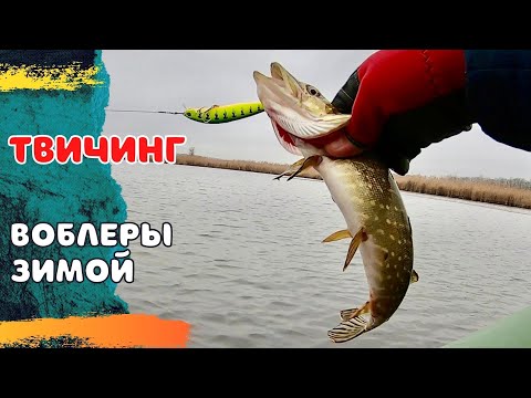 Видео: Твичинг на воблеры зимой .
