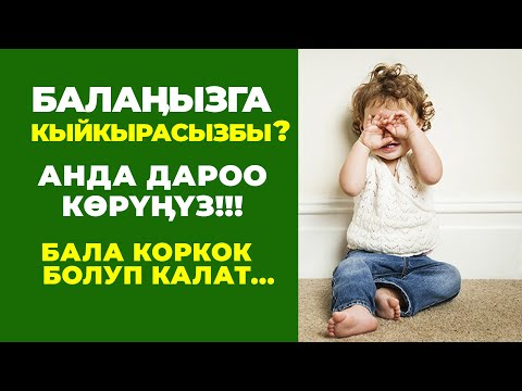 Видео: КЫЙКЫРБАЙ БАЛА ТАРБИЯЛОО