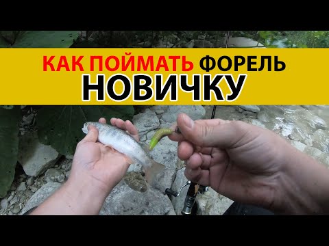 Видео: Как поймать форель новичку на силикон.  форелевая рыбалка
