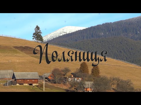 Видео: Село,  де найдорожча земля в Карпатах, яку би я купив | Поляниця.