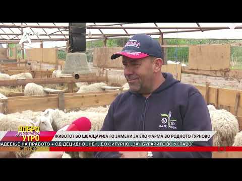Видео: Животот во Швајцарија го замени за еко фарма во родното Турново