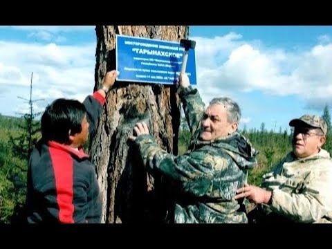 Видео: Черная металлургия Якутии. Перспективы развития.