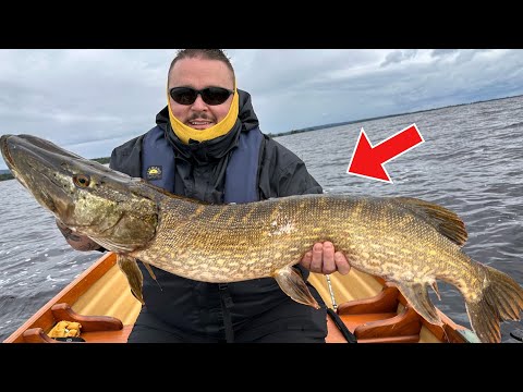 Видео: Ловля щуки на озере Лох-Дерг, Ирландия