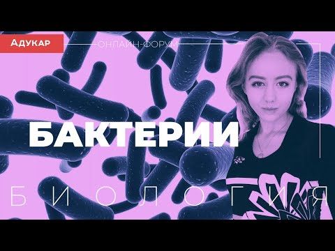 Видео: Бактерии | Биология, онлайн-форум