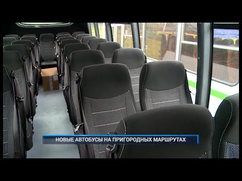Видео: НОВЫЕ АВТОБУСЫ НА ПРИГОРОДНЫХ МАРШРУТАХ
