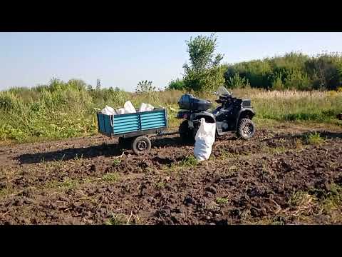 Видео: СМОТРИМ ВТОРОЕ ВИДИО все что наварил  срезал подчистил  и что вышло. посмотрите