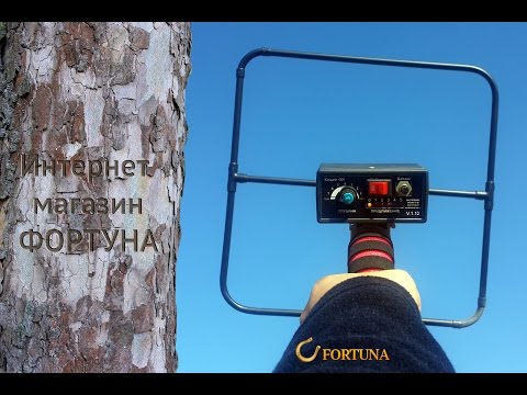 Видео: Дешевый глубинник - тест металлоискателя Кощей 5ИГ