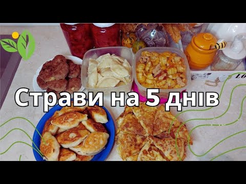 Видео: ГОТУЮ НА 5 ДНІВ / ГАРЯЧІ СТРАВИ / Легко Швидко Смачно