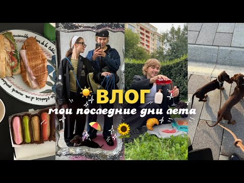Видео: ВЛОГ: мои последние дни лета // лиза, марс, любовь