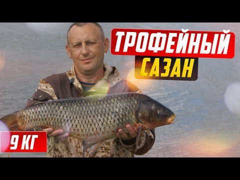 Видео: Рыбалка на сазана, как поймать трофейного сазана.