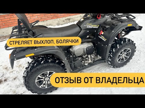 Видео: КВАДРОЦИКЛ СТЕЛС ЛЕОПАРД. ОТЗЫВ ОТ ВЛАДЕЛЬЦА. ПРОБЛЕМЫ И БОЛЯЧКИ. STELS LEOPARD 650