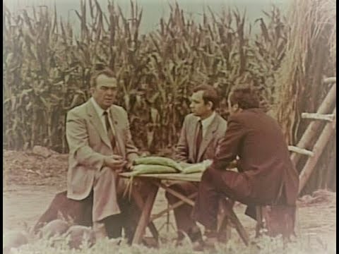 Видео: Вкус чурека - ч.1 СЕЛЬСКОЕ ХОЗЯЙСТВО КБАССР министр Бесланеев В.Д. кукуруза 1984г док. фильм