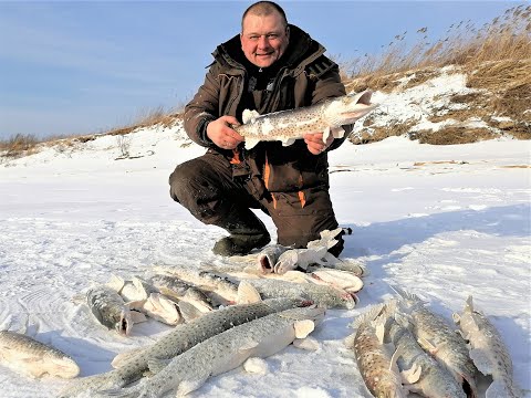 Видео: Щуки отрывают крабов!!! Рыбалка на махалки.