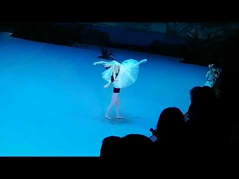 Видео: Жизель 4 ноября 2025