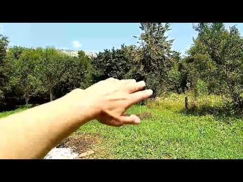 Видео: Мой дом в Псебае)