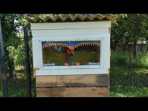 Видео: Рейс на мазе