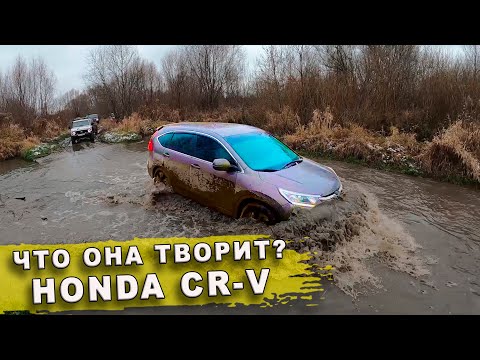 Видео: Что она творит HONDA CRV | OFF ROAD на внедорожниках