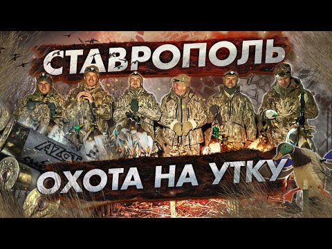 Видео: Охота на утку в полях. Результат оправдал ожидания!