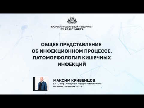 Видео: Общее представление об инфекционном процессе. Патоморфология кишечных инфекций
