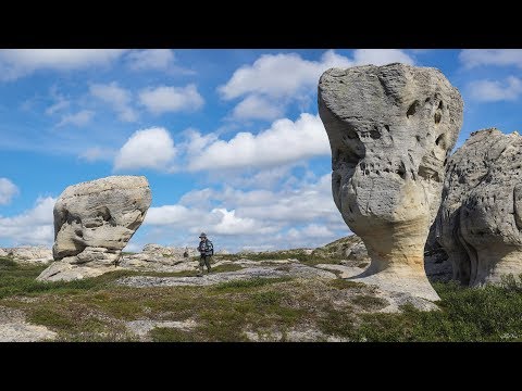 Видео: Презентация фильма "Путешествие в затерянный мир Северного Тимана"