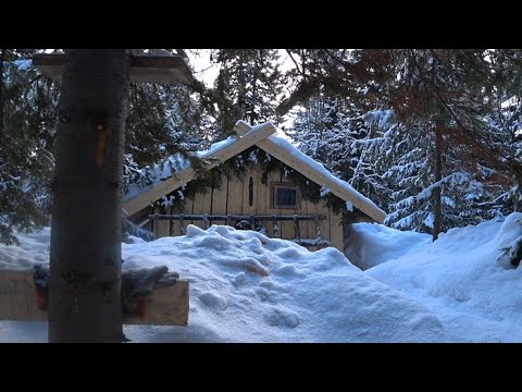 Видео: ИЗБУШКА В ТАЙГЕ ВНОВЬ ПРИЮТИЛА И ОБОГРЕЛА! БЫТОВЫЕ ДЕЛА В ИЗБЕ. ТАËЖНАЯ ВОЗНЯ.