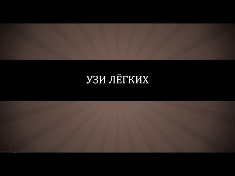 Видео: УЗИ лёгких