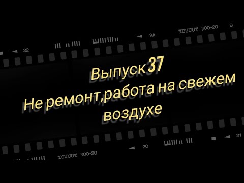 Видео: Надоело быть штукатуром.Пытаюсь спилить большое дерево.