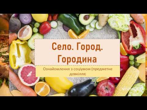 Видео: Ознайомлення з соціумом.                                       "Село.Город.Городина."