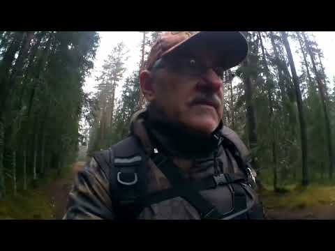 Видео: Грустный год и такое же завершение.