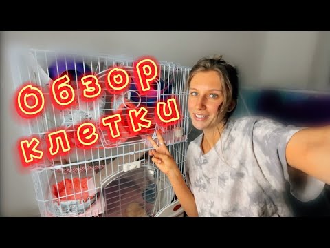 Видео: Как я обустроила клетку крыс 🐀