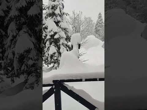 Видео: #погодакайф