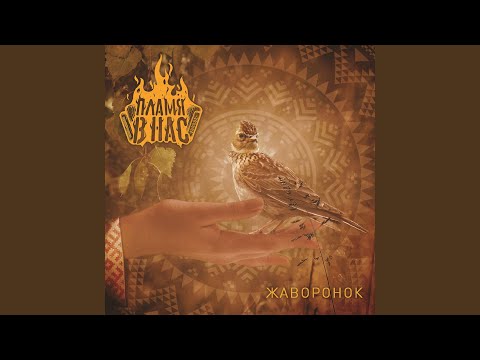 Видео: Тропы