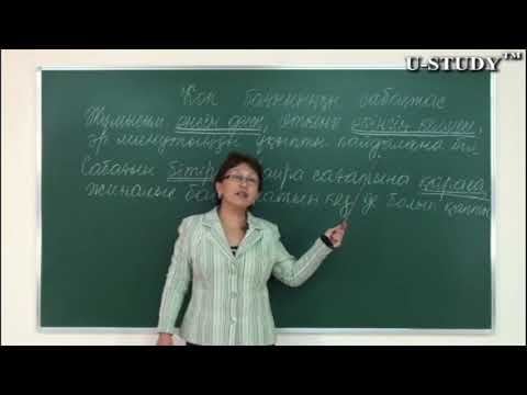 Видео: ҰБТ-ға дайындық: Көп бағыныңқы сабақтас