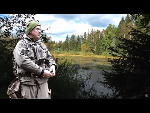 Видео: КЛАДОИСКАТЕЛЬСКАЯ УДАЧА! НАШЕЛ, ЧТО ИСКАЛ!