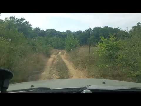 Видео: На риболов яз.Ястребино.В търсене на язовира.#търговище