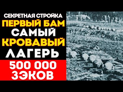 Видео: СЕНСАЦИЯ О ПЕРВОМ БАМе: Зачем 300000 Зэков СТРОИЛИ ДОРОГУ в НИКУДА?