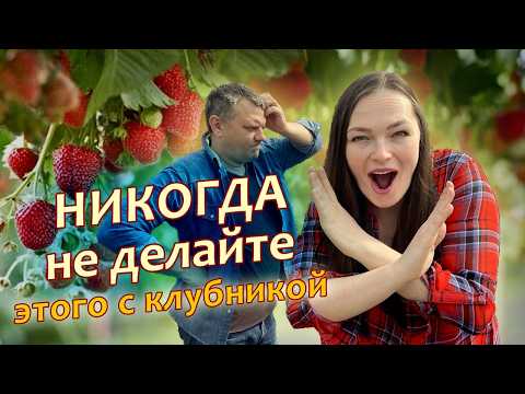 Видео: Хитрости для клубники НИКОГДА НЕ СКАШИВАЙТЕ ЛИСТЬЯ У КЛУБНИКИ