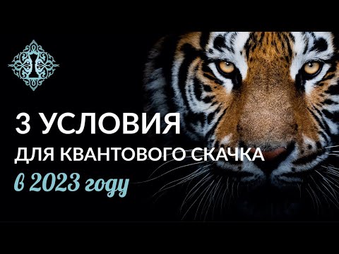Видео: 3  УСЛОВИЯ ДЛЯ гарантированного квантового скачка в 2023 году. Ада Кондэ