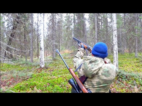 Видео: ОХОТА С ДВУМЯ РУЖЬЯМИ НА БОРОВУЮ ДИЧЬ. УДАЧА! ДОБЫЛ ТРИ ПТИЦЫ. СЕВЕР РЕСПУБЛИКИ КОМИ.