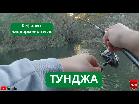 Видео: Кефали с наднормено тегло!