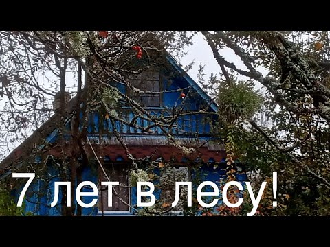 Видео: 7 лет в деревне, мой опыт