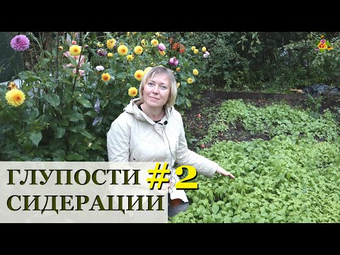 Видео: НЕ ПОВТОРЯЙТЕ эту ошибку! / Глупости сидерации