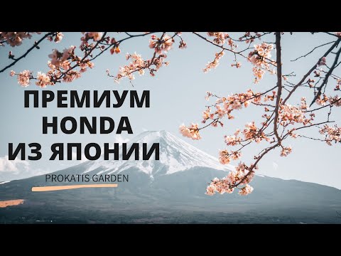 Видео: Премиум газонокосилки HONDA из Японии Обзор и сравнение